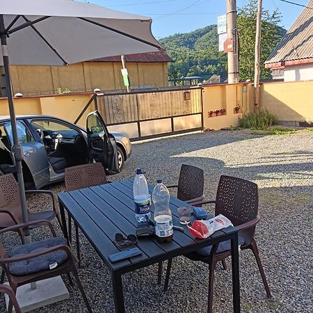 Casa Cerbului Appartement Vişeu de Sus Buitenkant foto