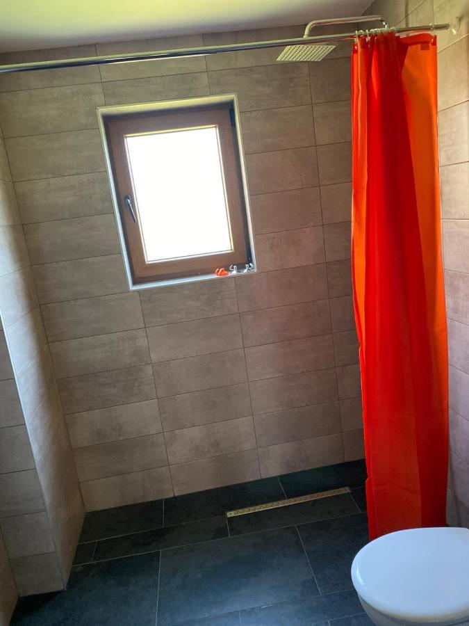 Casa Cerbului Appartement Vişeu de Sus Buitenkant foto