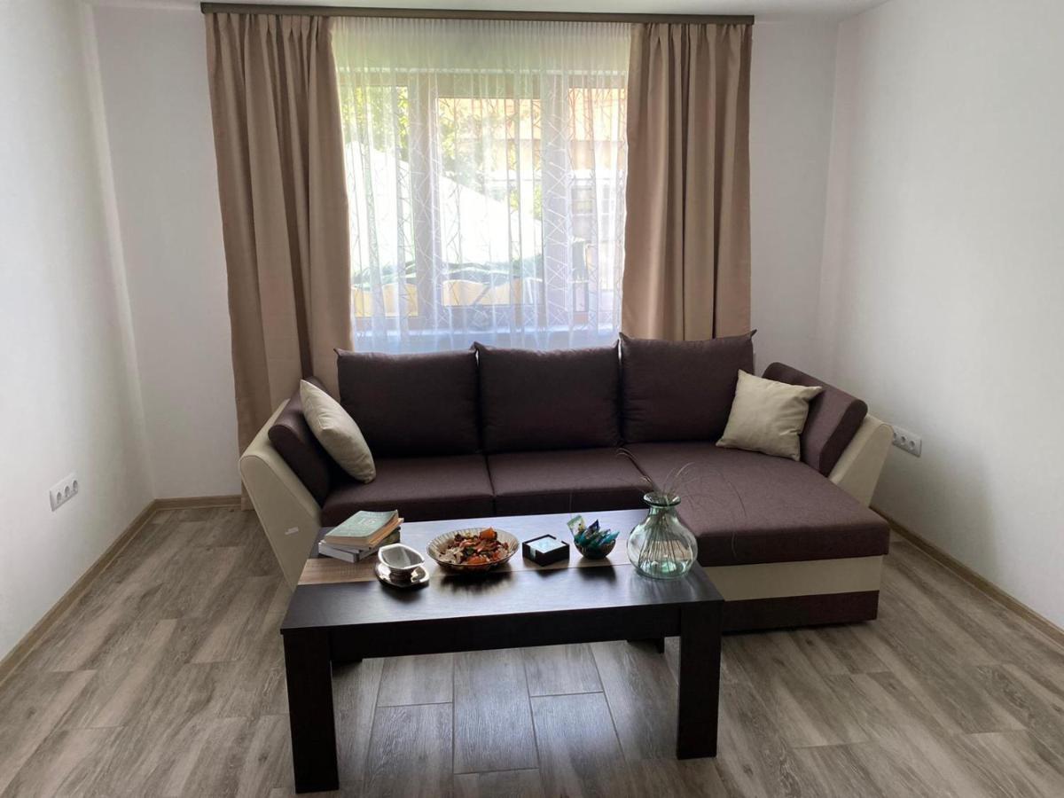 Casa Cerbului Appartement Vişeu de Sus Buitenkant foto