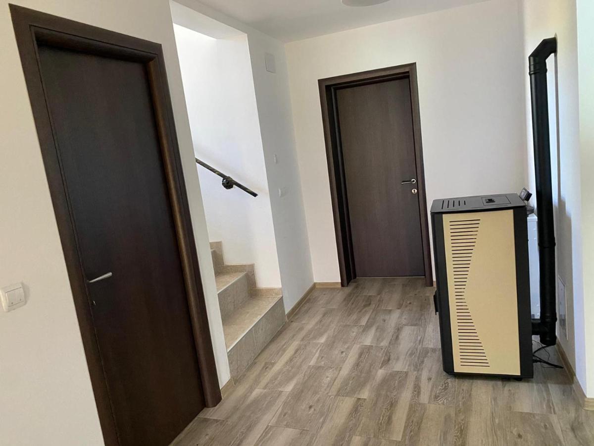 Casa Cerbului Appartement Vişeu de Sus Buitenkant foto
