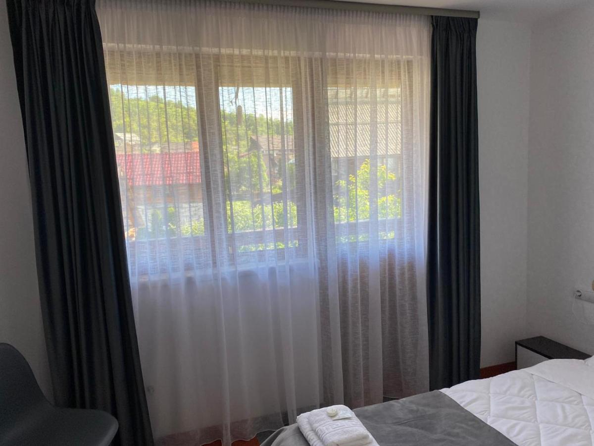 Casa Cerbului Appartement Vişeu de Sus Buitenkant foto