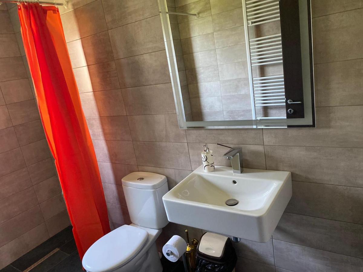 Casa Cerbului Appartement Vişeu de Sus Buitenkant foto