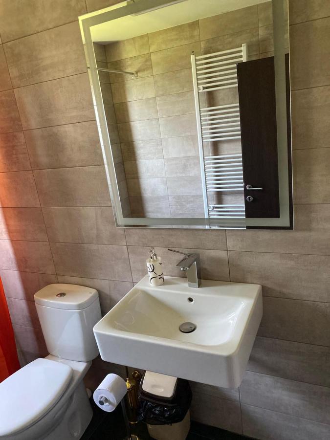 Casa Cerbului Appartement Vişeu de Sus Buitenkant foto