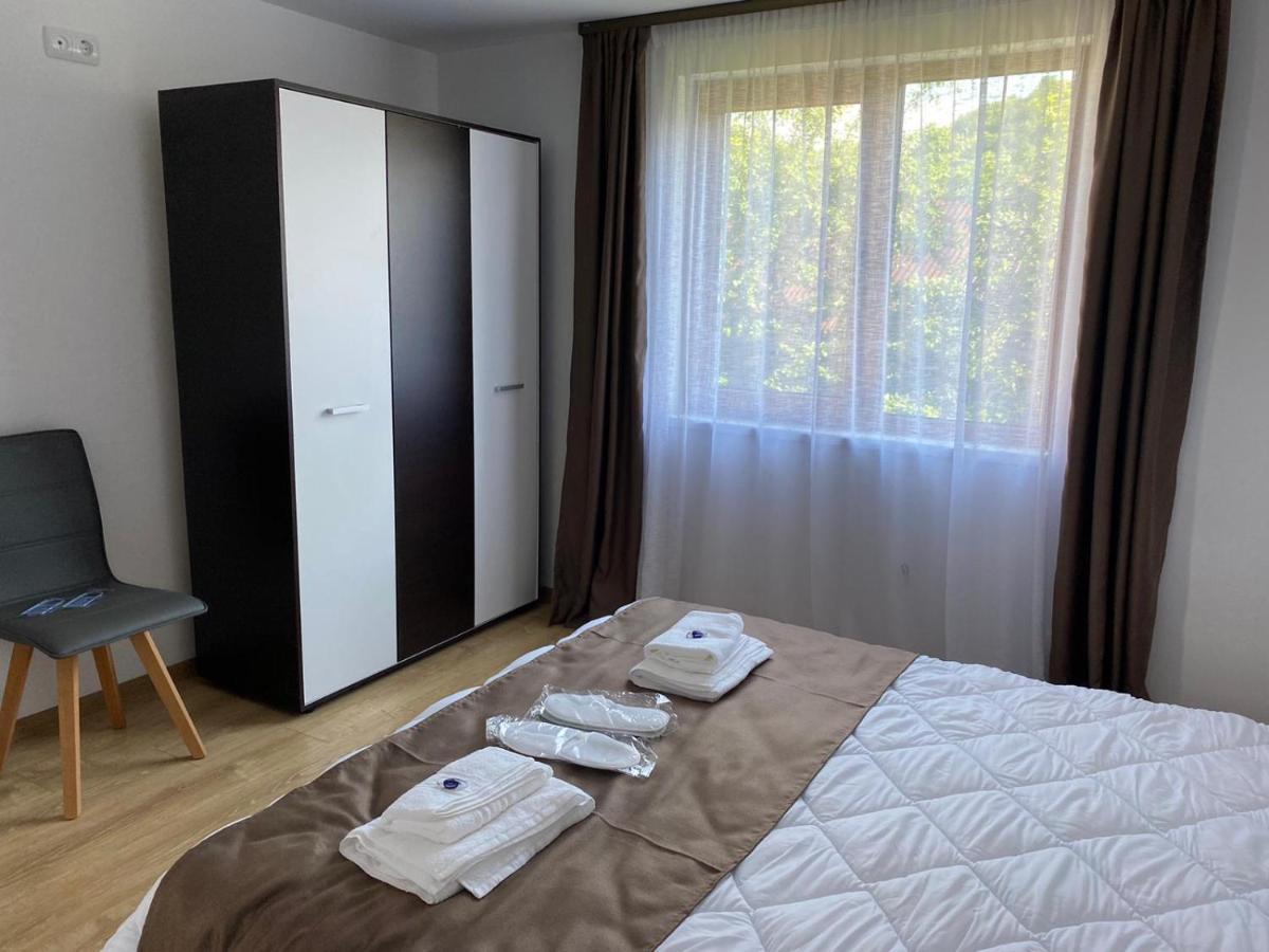 Casa Cerbului Appartement Vişeu de Sus Buitenkant foto