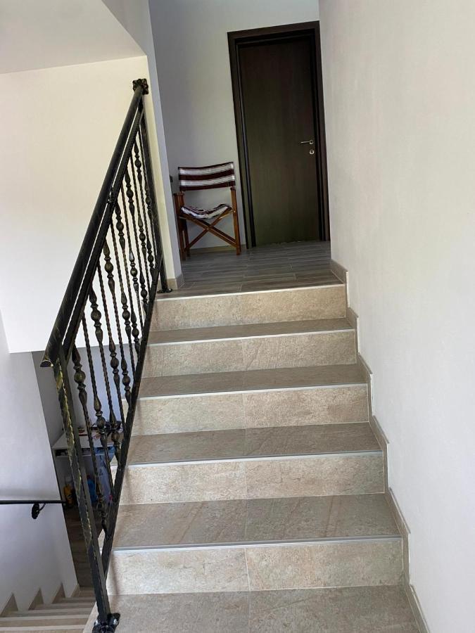Casa Cerbului Appartement Vişeu de Sus Buitenkant foto