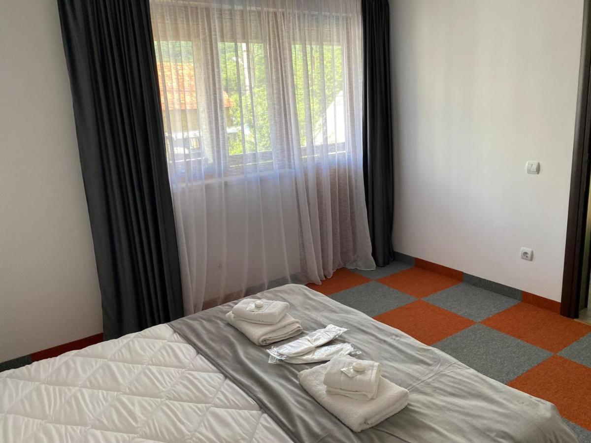 Casa Cerbului Appartement Vişeu de Sus Buitenkant foto