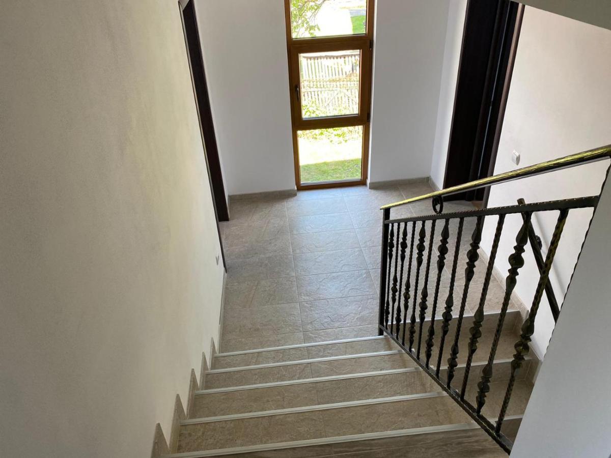 Casa Cerbului Appartement Vişeu de Sus Buitenkant foto