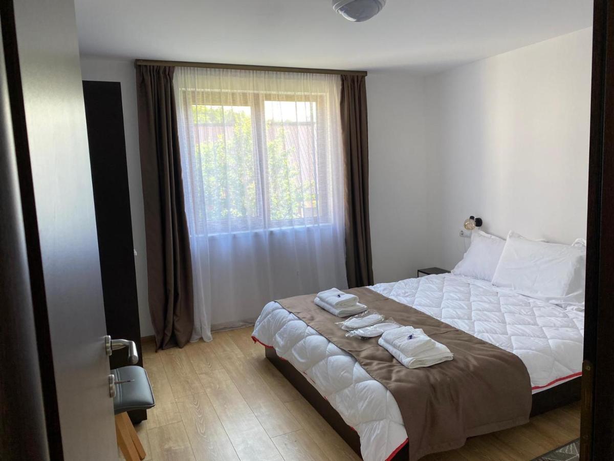 Casa Cerbului Appartement Vişeu de Sus Buitenkant foto