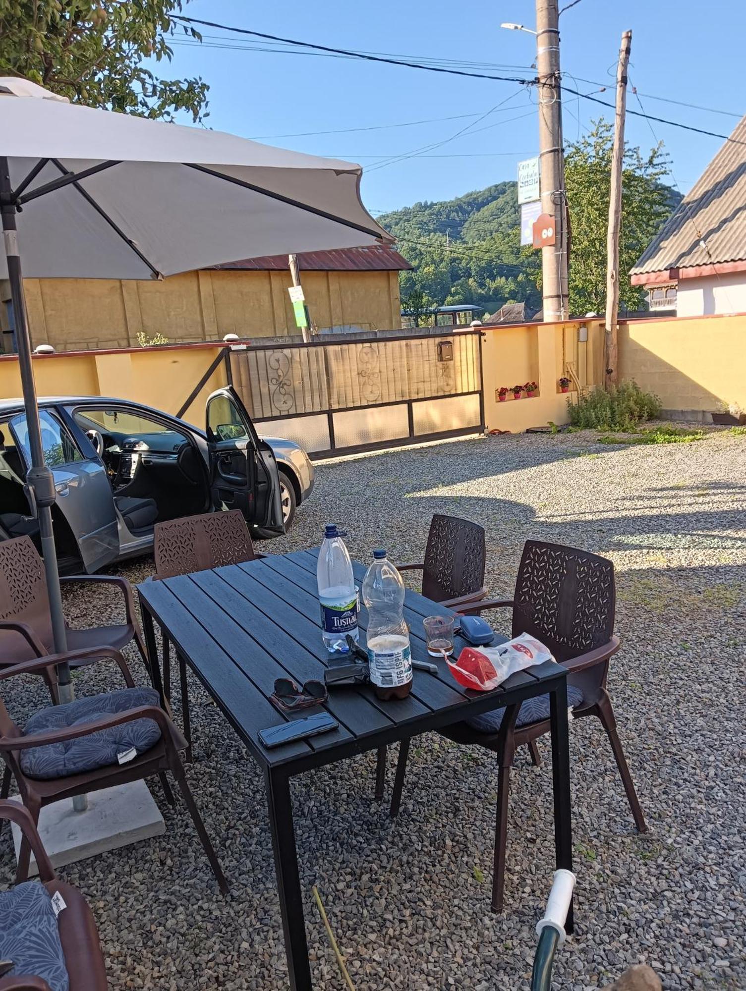 Casa Cerbului Appartement Vişeu de Sus Buitenkant foto