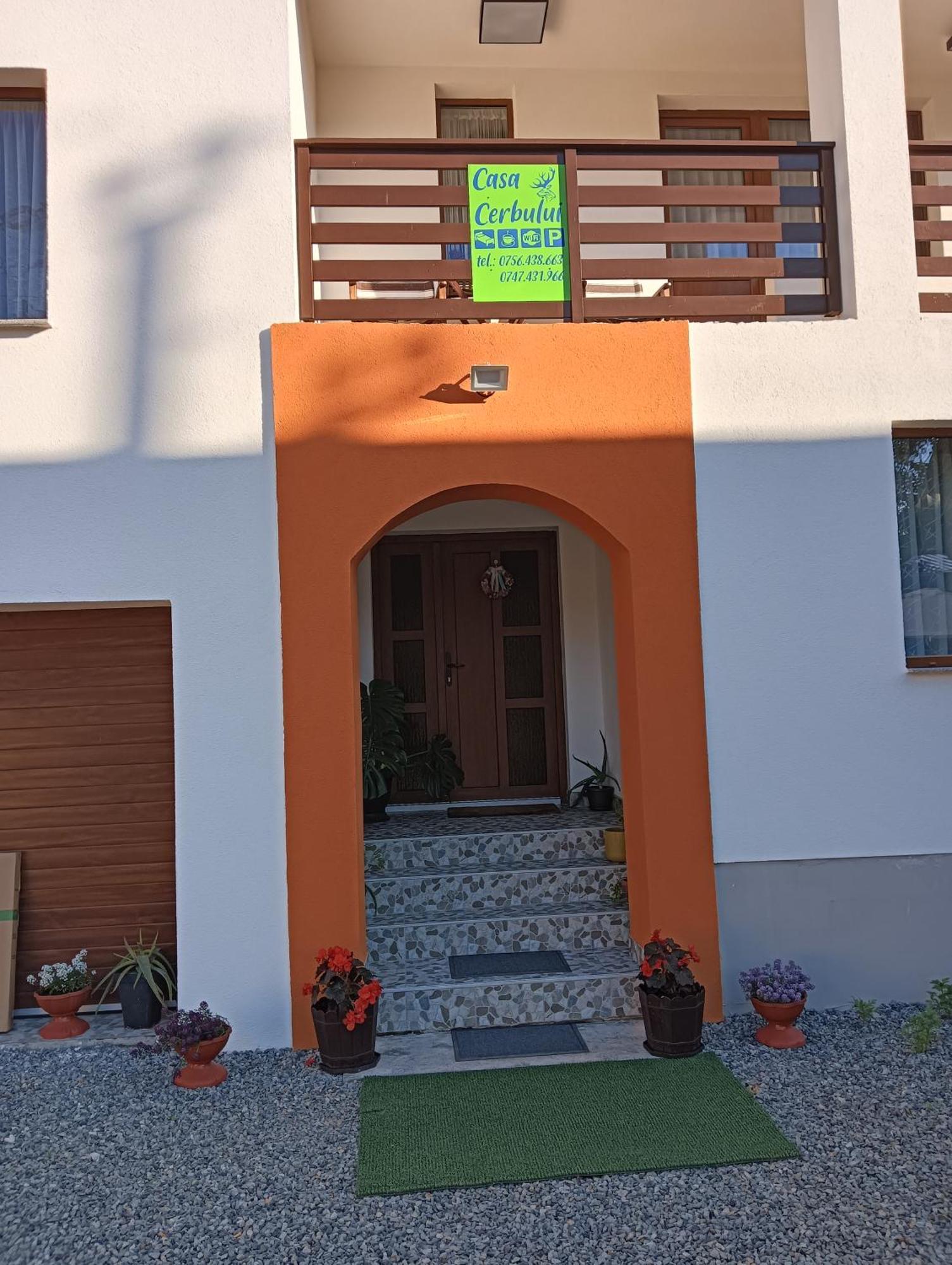 Casa Cerbului Appartement Vişeu de Sus Buitenkant foto